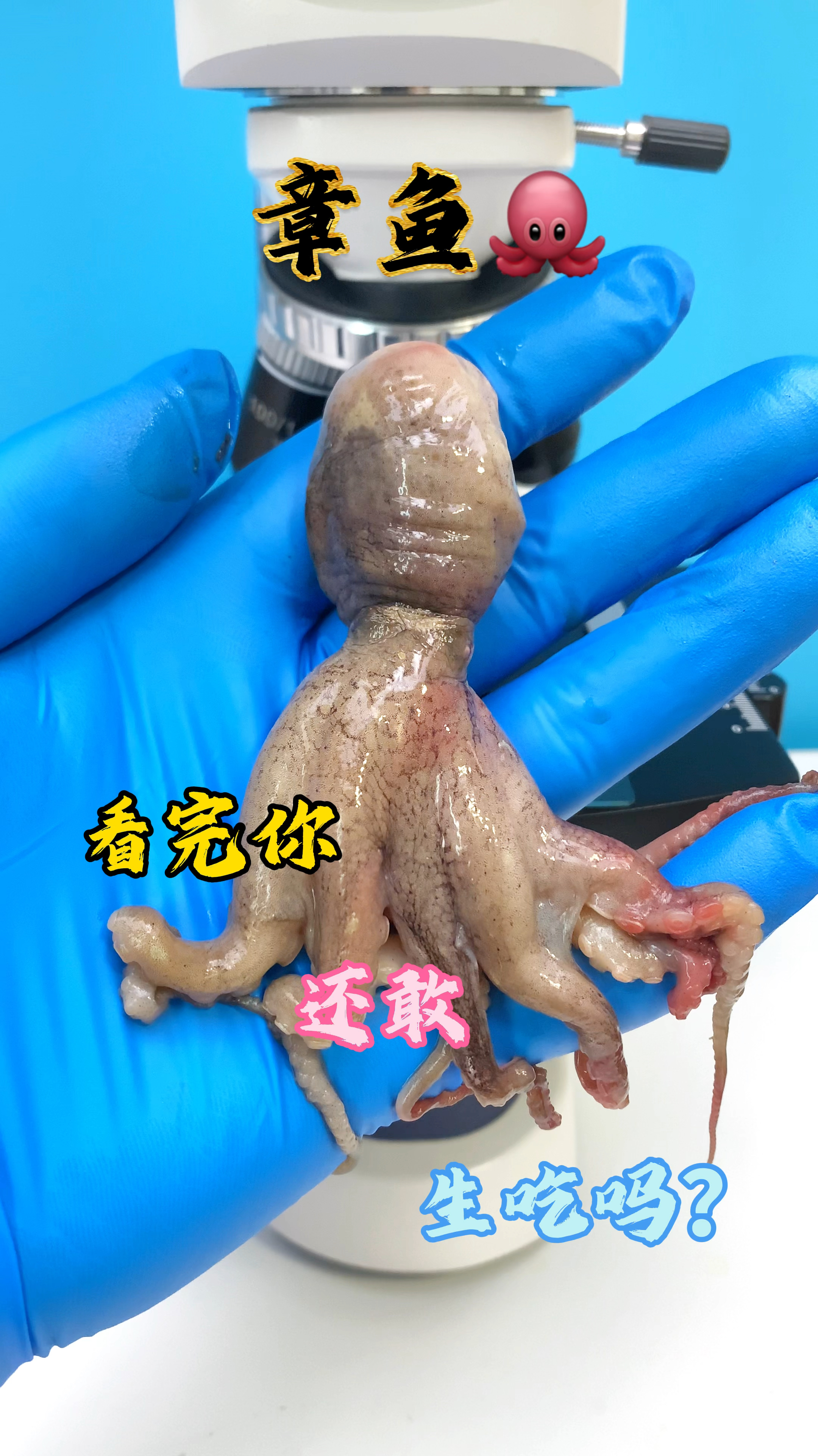 章鱼你喜欢吃吗?你吃过生腌的吗。