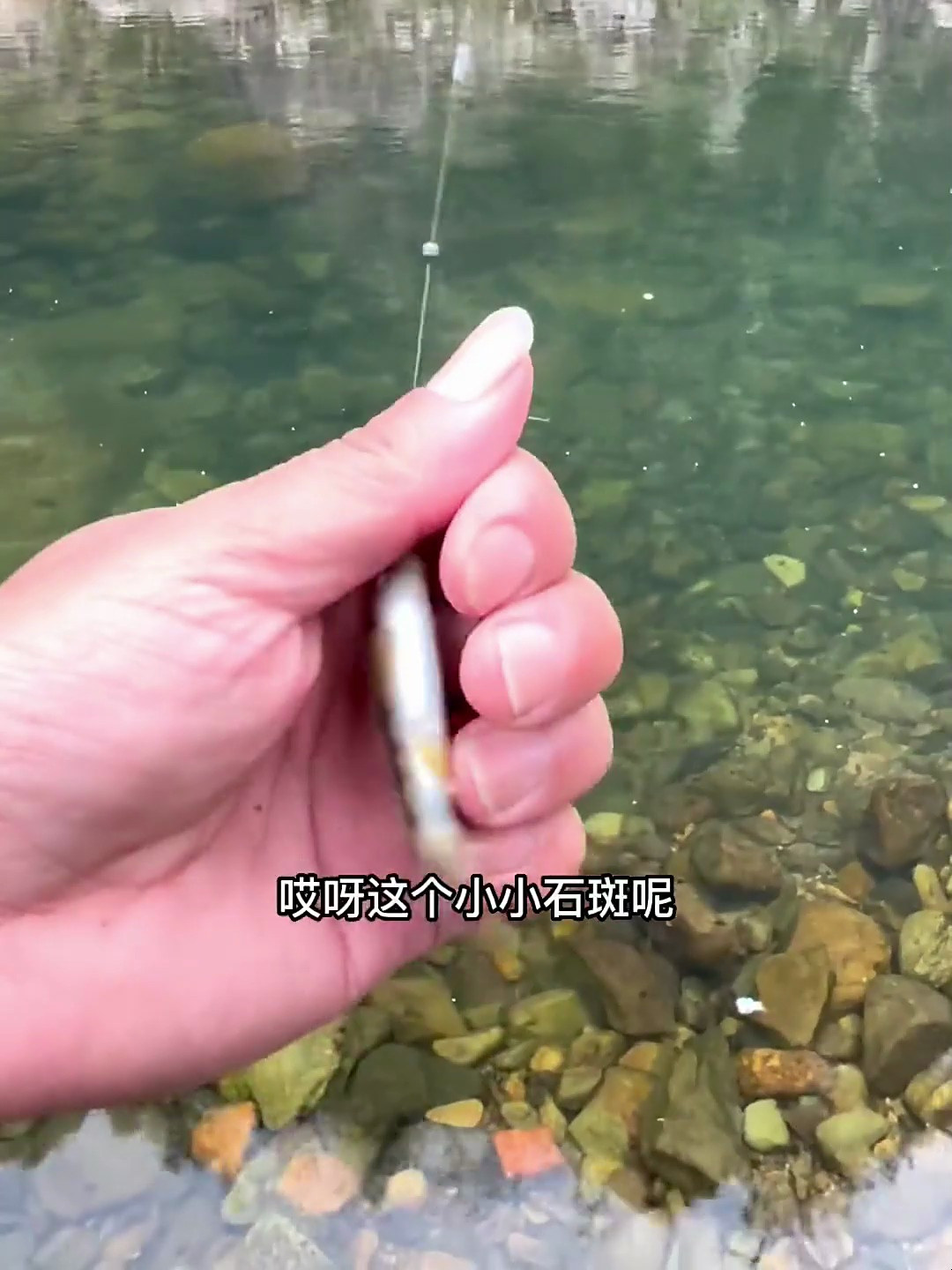 你们那石斑鱼开口了吗溪流钓真实户外溪石斑