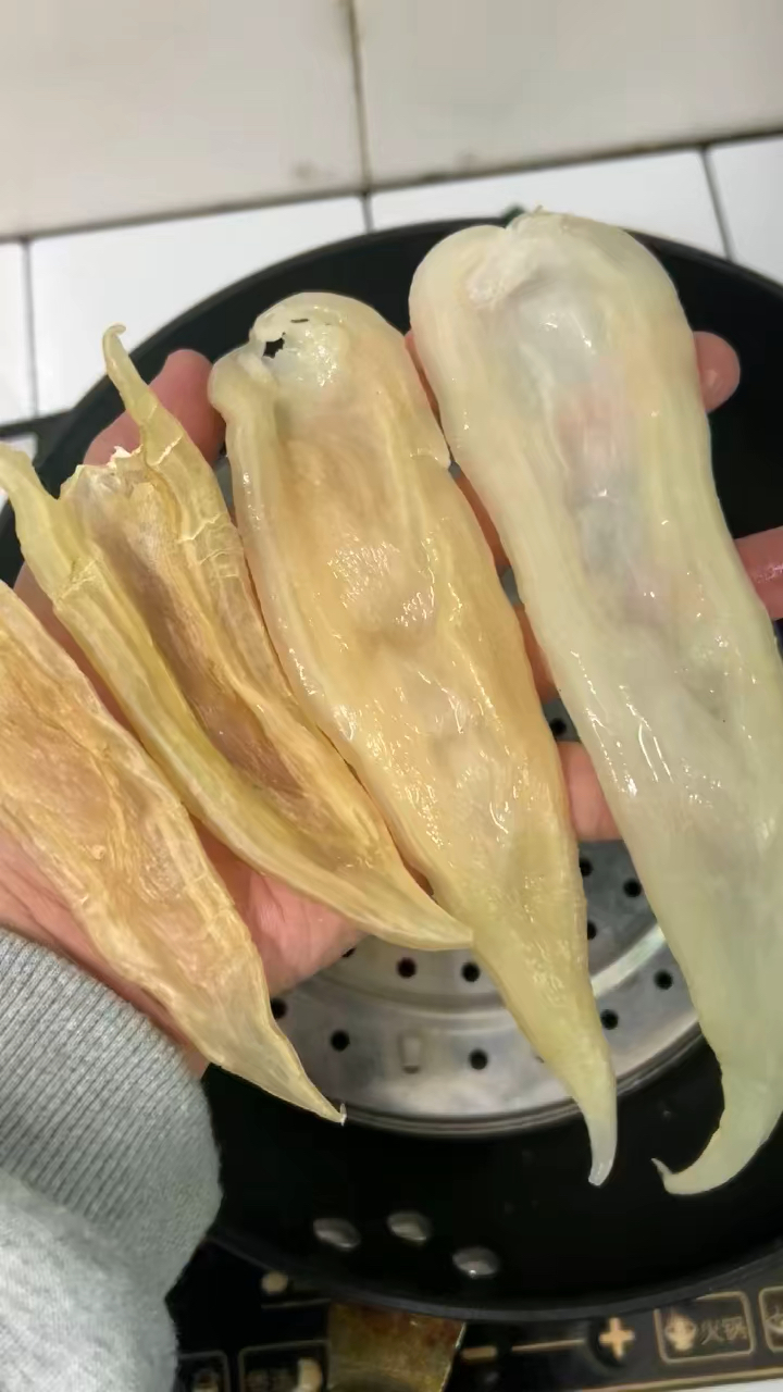 双背黄花胶又称“女人胶”素有“海洋人参”之誉。双贝胶是一款经济又实在的北海野生胶