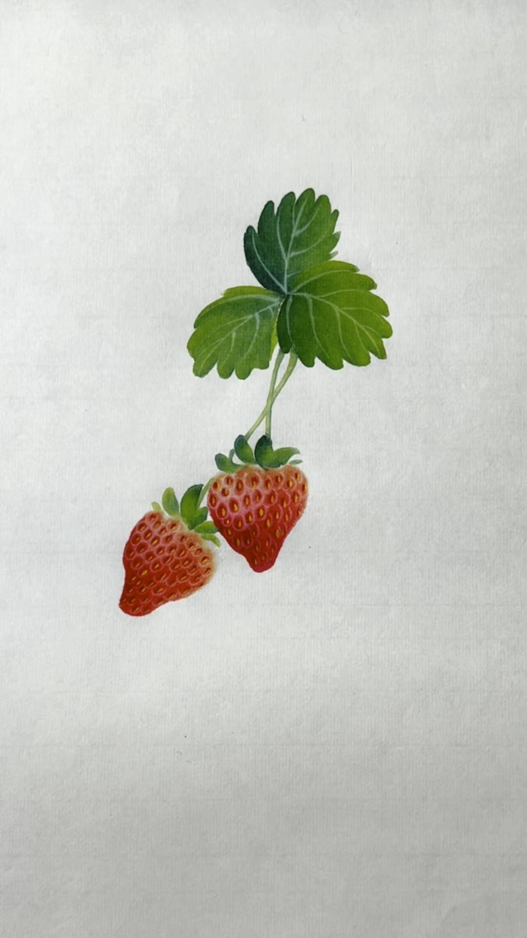 写意草莓的画法