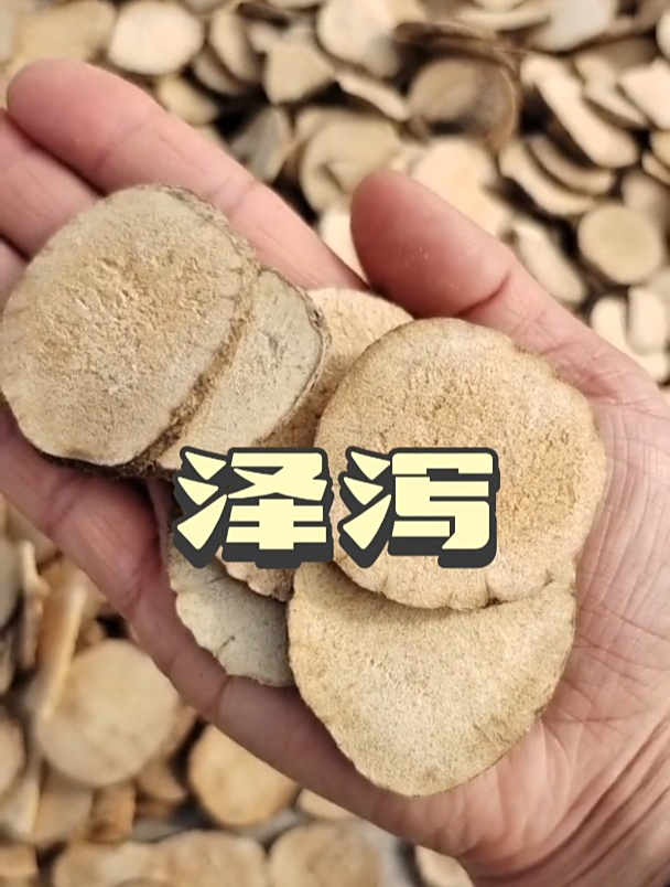 泽泻的作用和功效,欢迎家人们了解