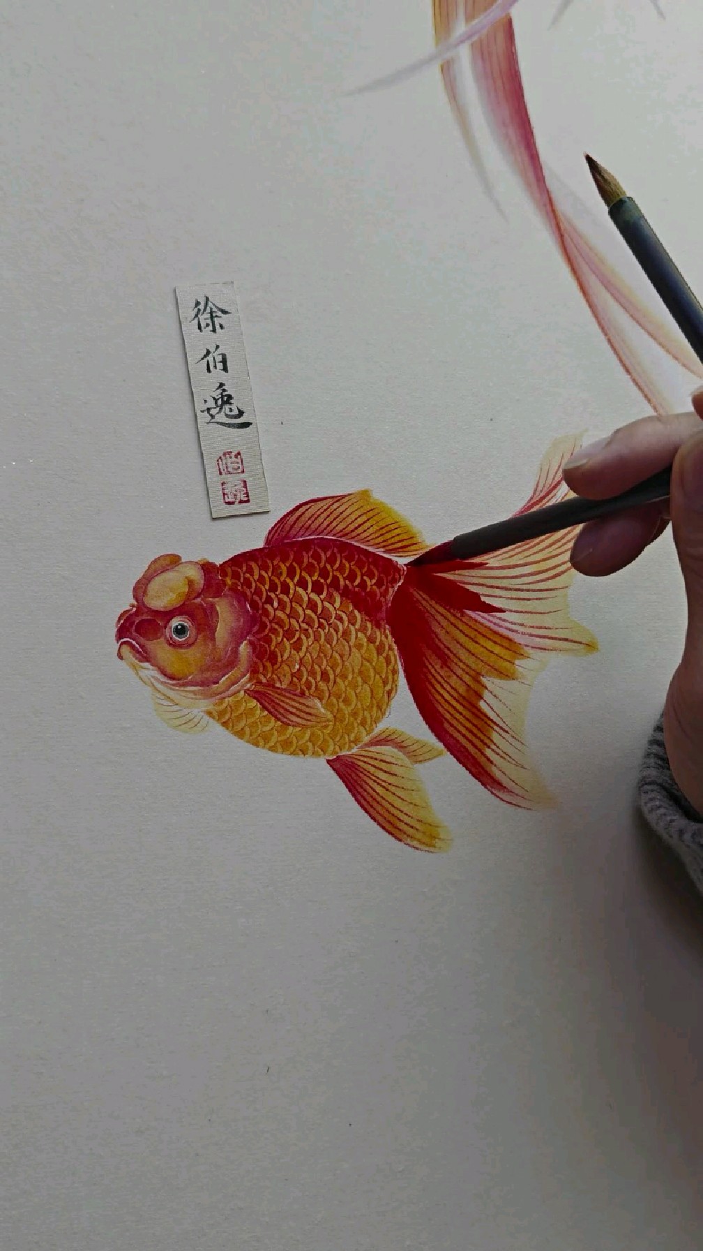 画一条火红的金鱼。