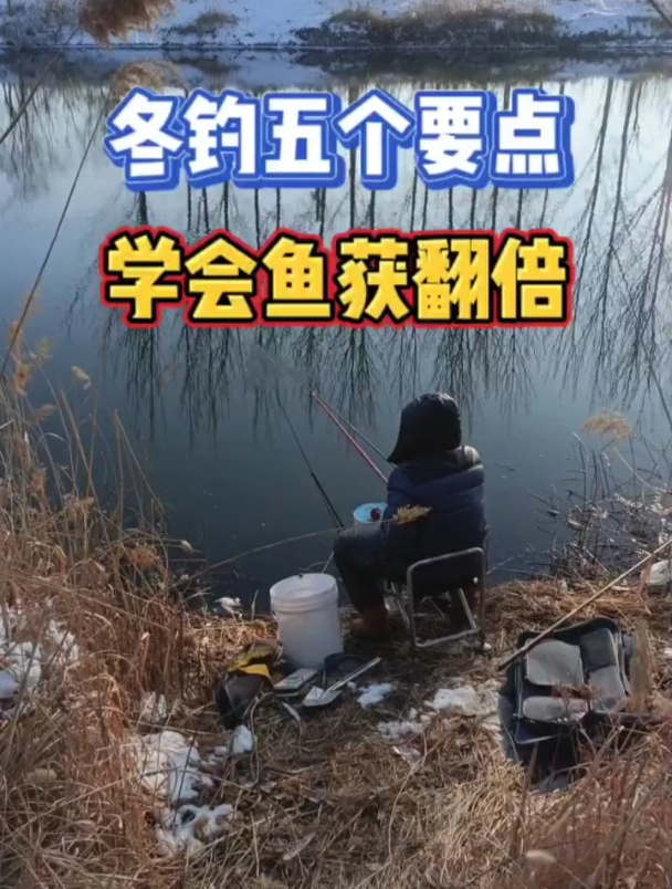 冬季钓鲫鱼,老钓友总结这5大诀窍!