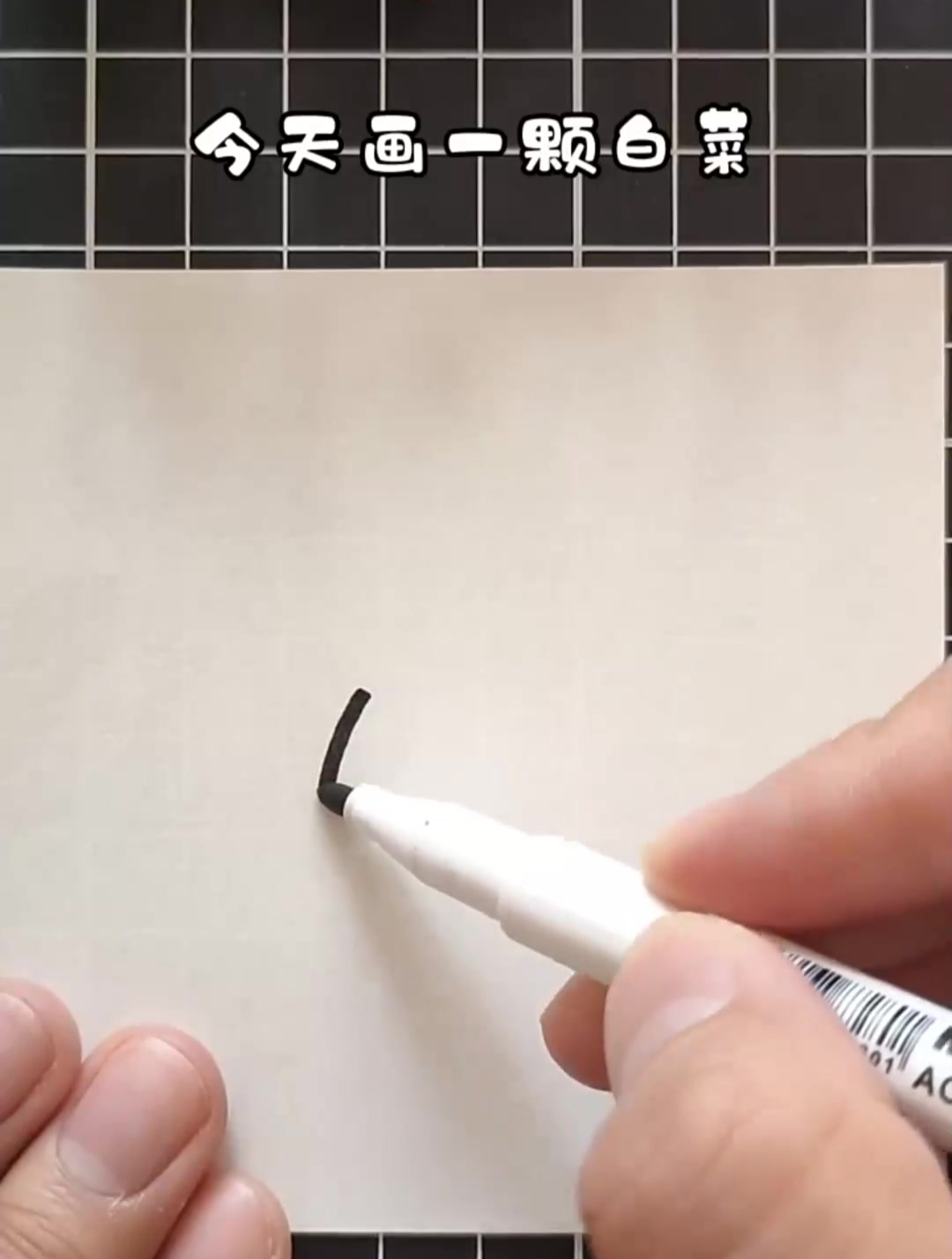 超简单的白菜画法,快来试一试吧简笔画画画教程