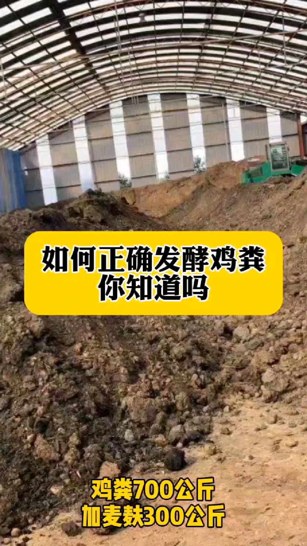 如何正确发酵鸡粪你知道吗