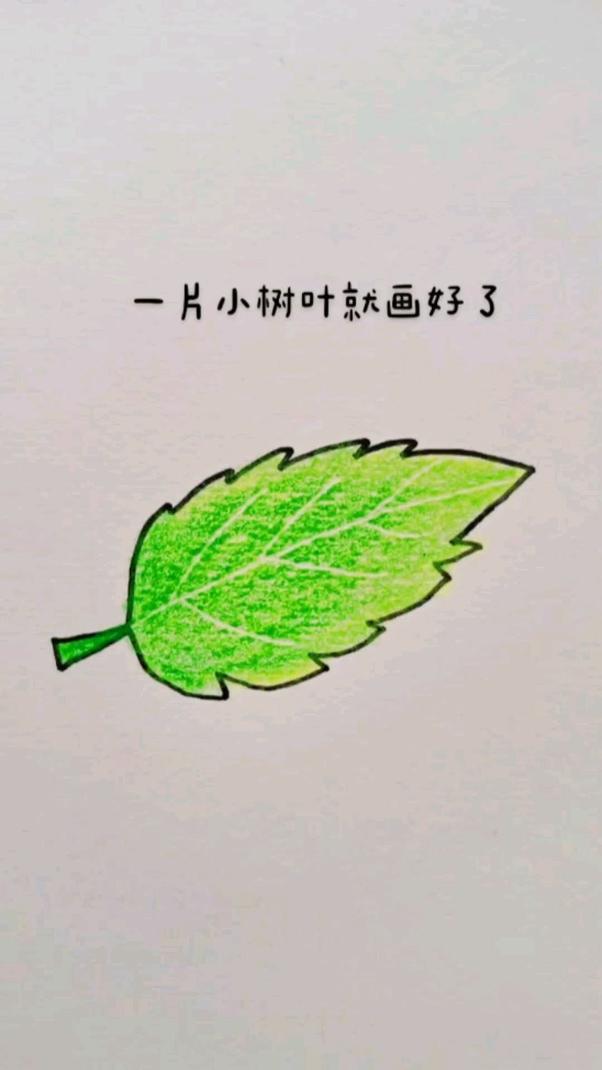 这样画树叶简单又好看