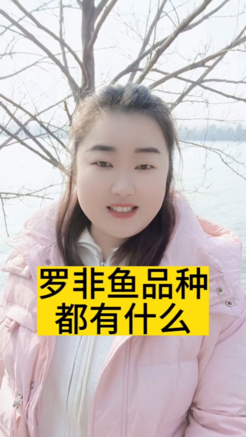 罗非鱼都有什么品种