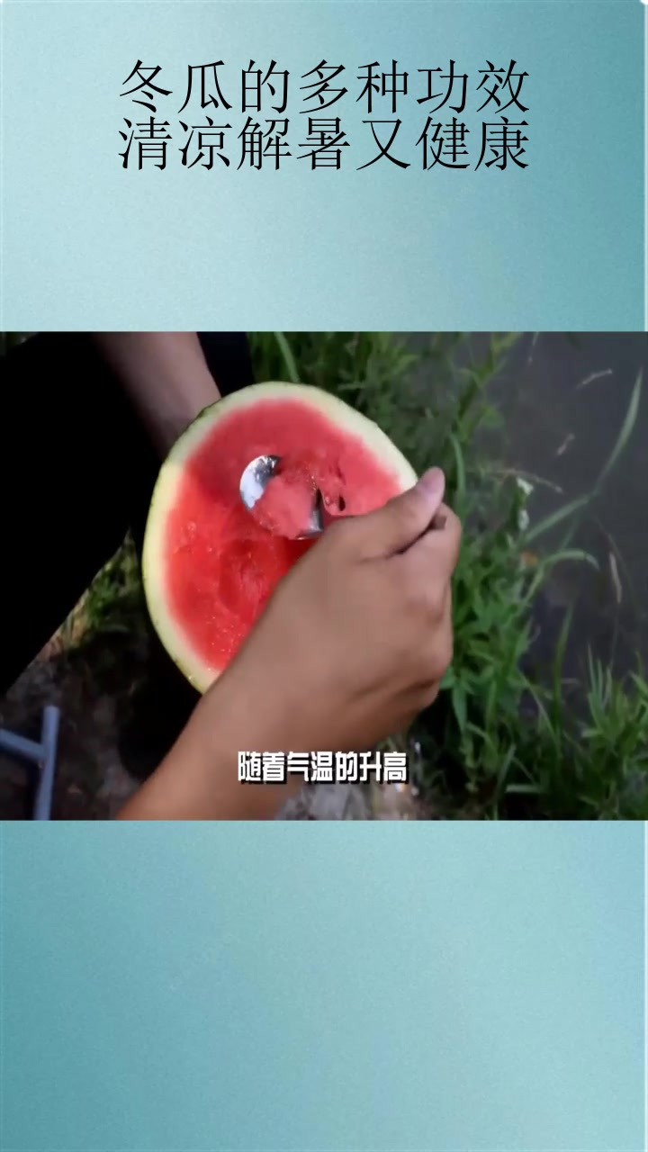 冬瓜的多种功效:清凉解暑又健康