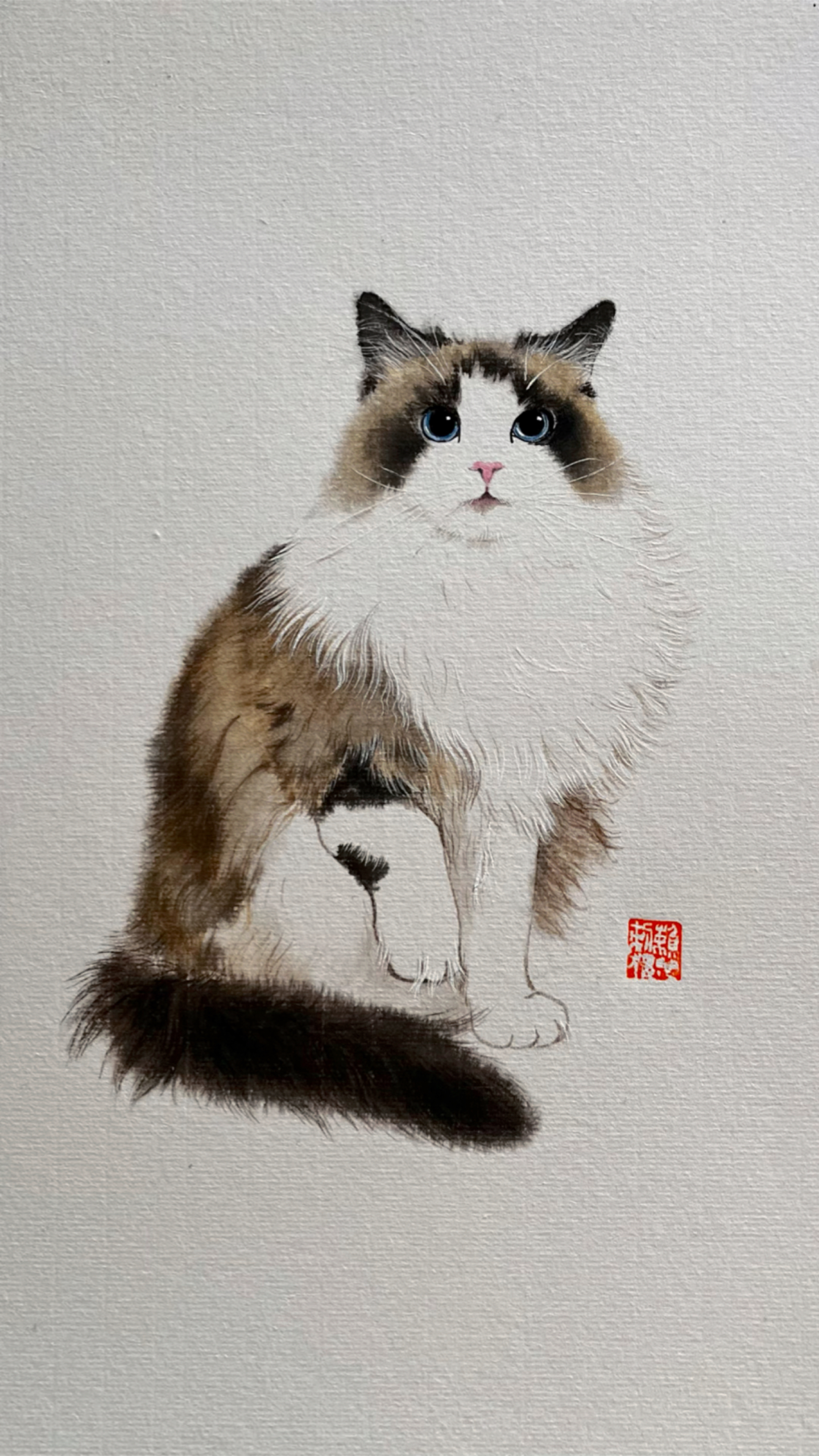 布偶猫(定制)国画猫咪的画法