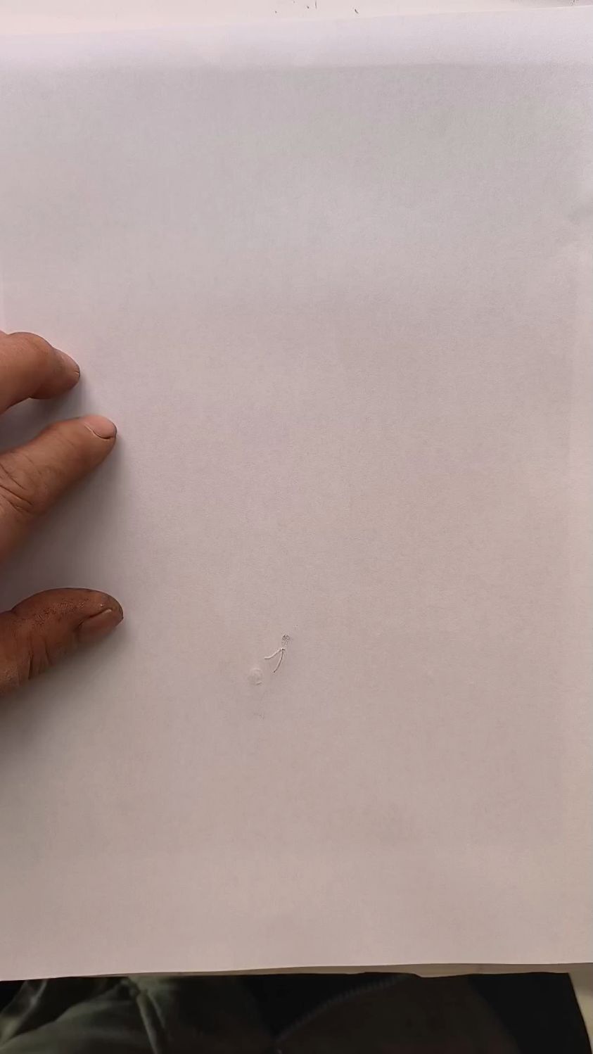 炭笔画我爱公社小鸡群。