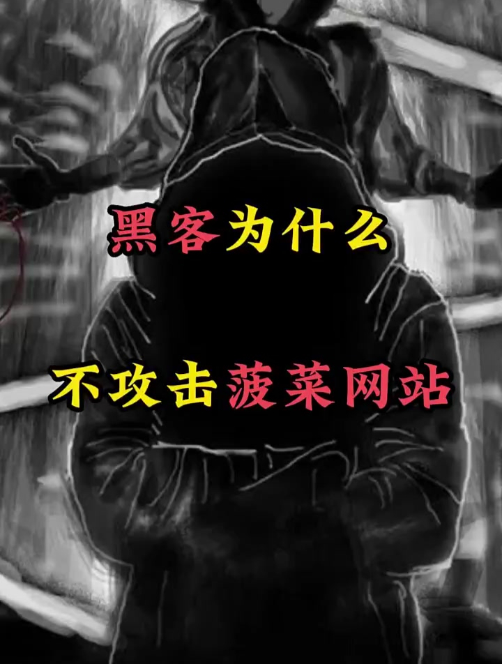 H客为什么不攻击菠菜网站“科普网络安全知识”