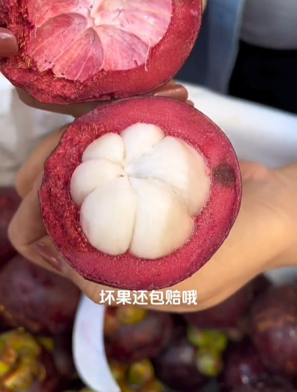 来自泰国老树麻竹今年你吃到了吗?