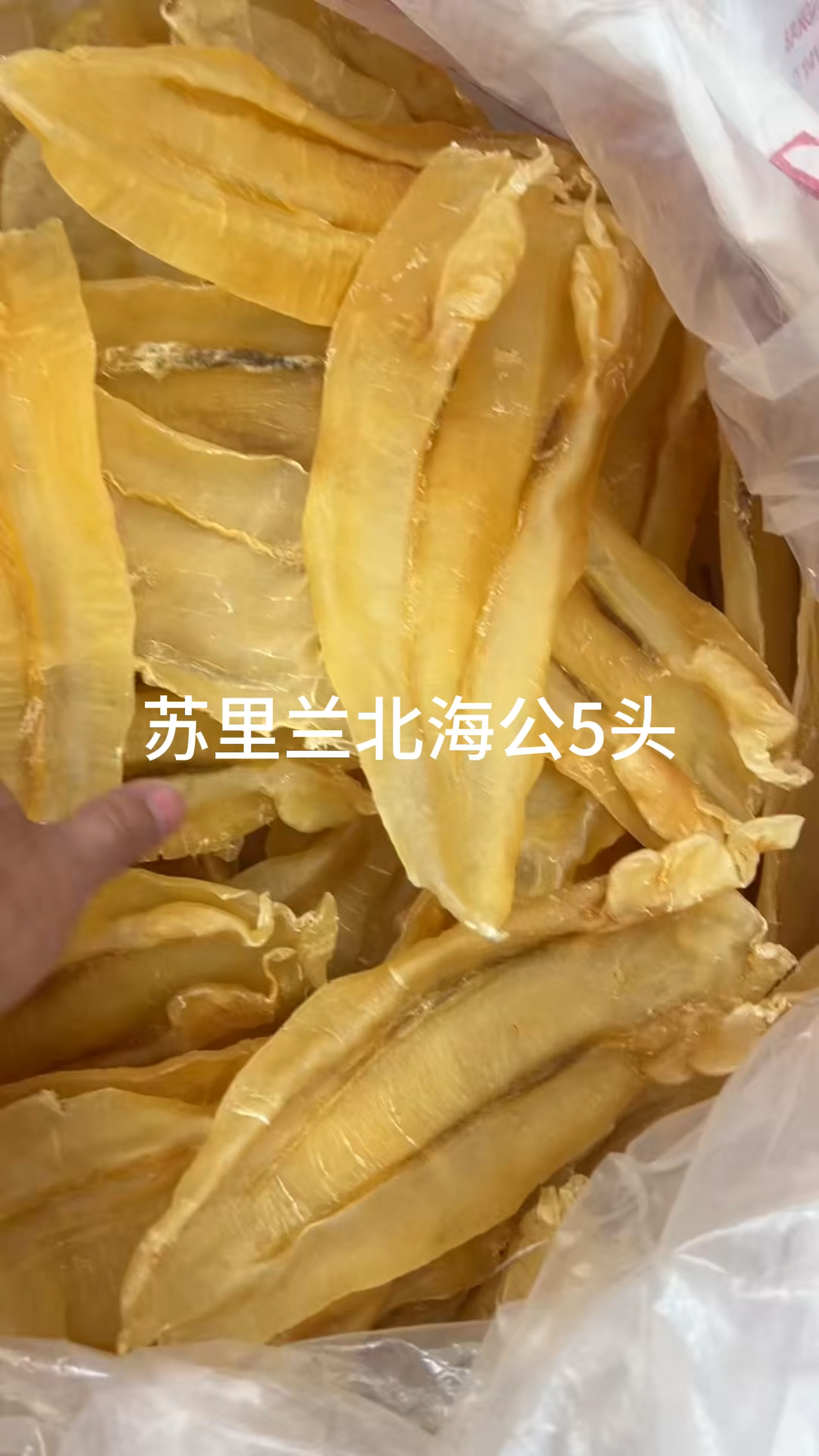 北海公,双背,红鸡,安南片,越南蜘蛛公,大口公条,马友胶,竹叶胶,小石斑,鸡泡胶
