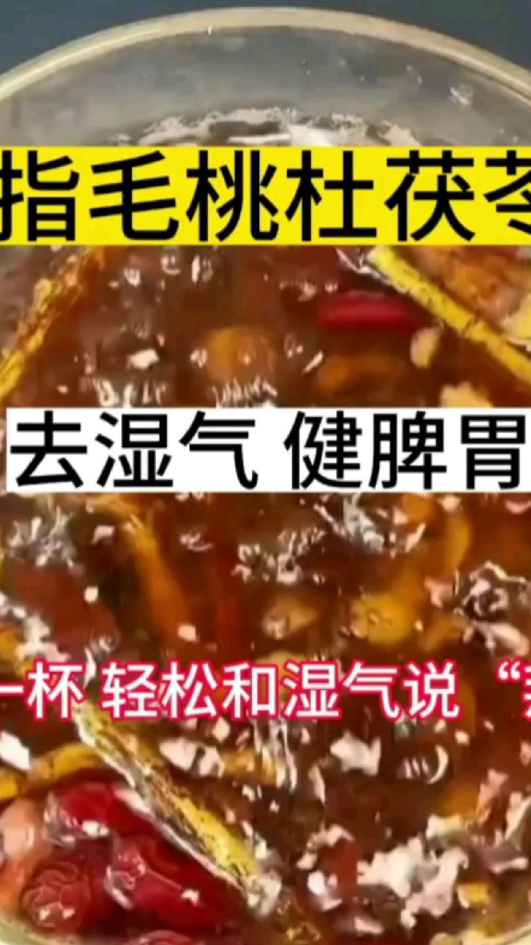 祛湿茶-五指毛桃杜茯苓茶-轻松和湿气说起“拜”