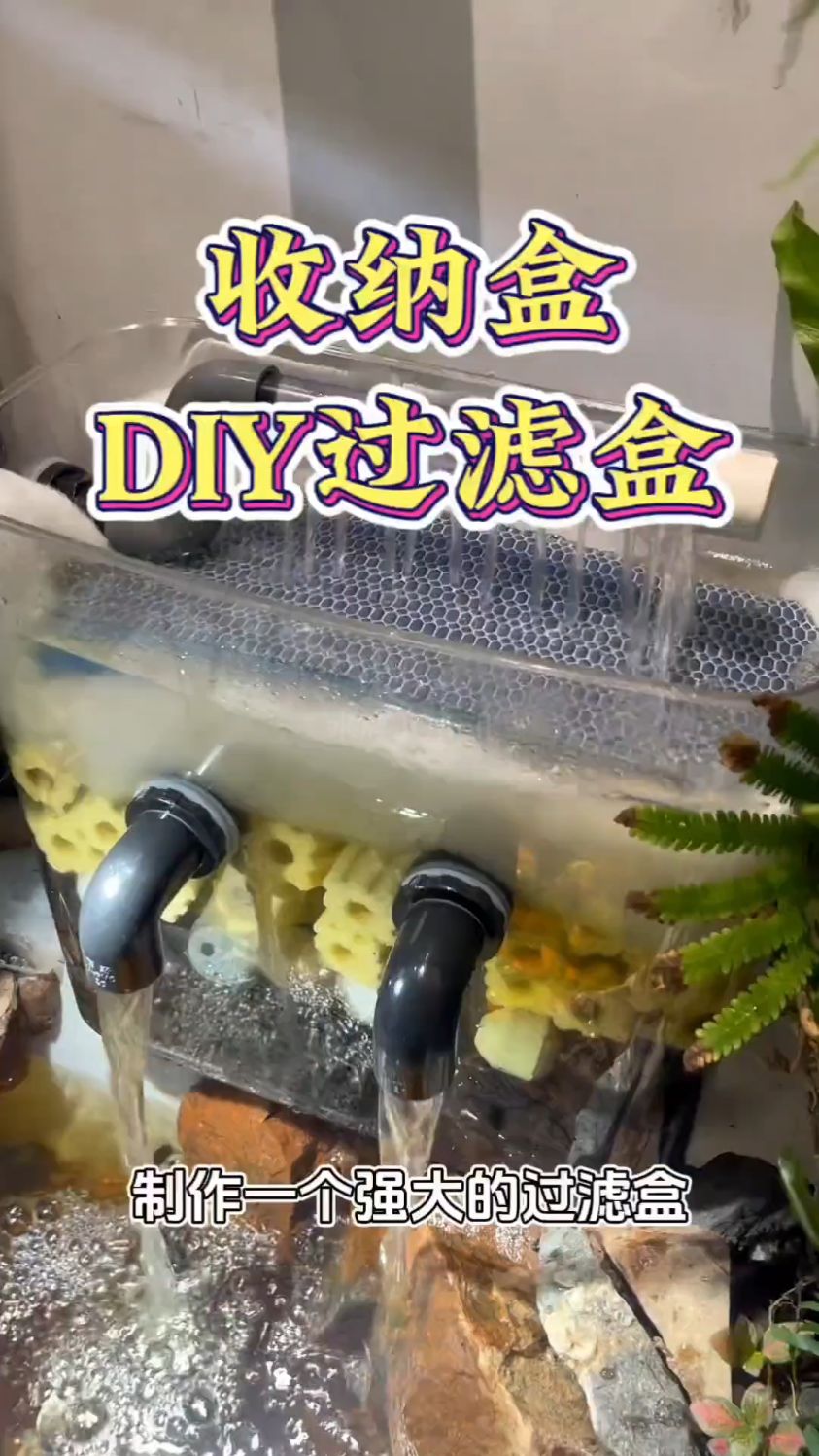收纳盒改鱼缸过滤盒
