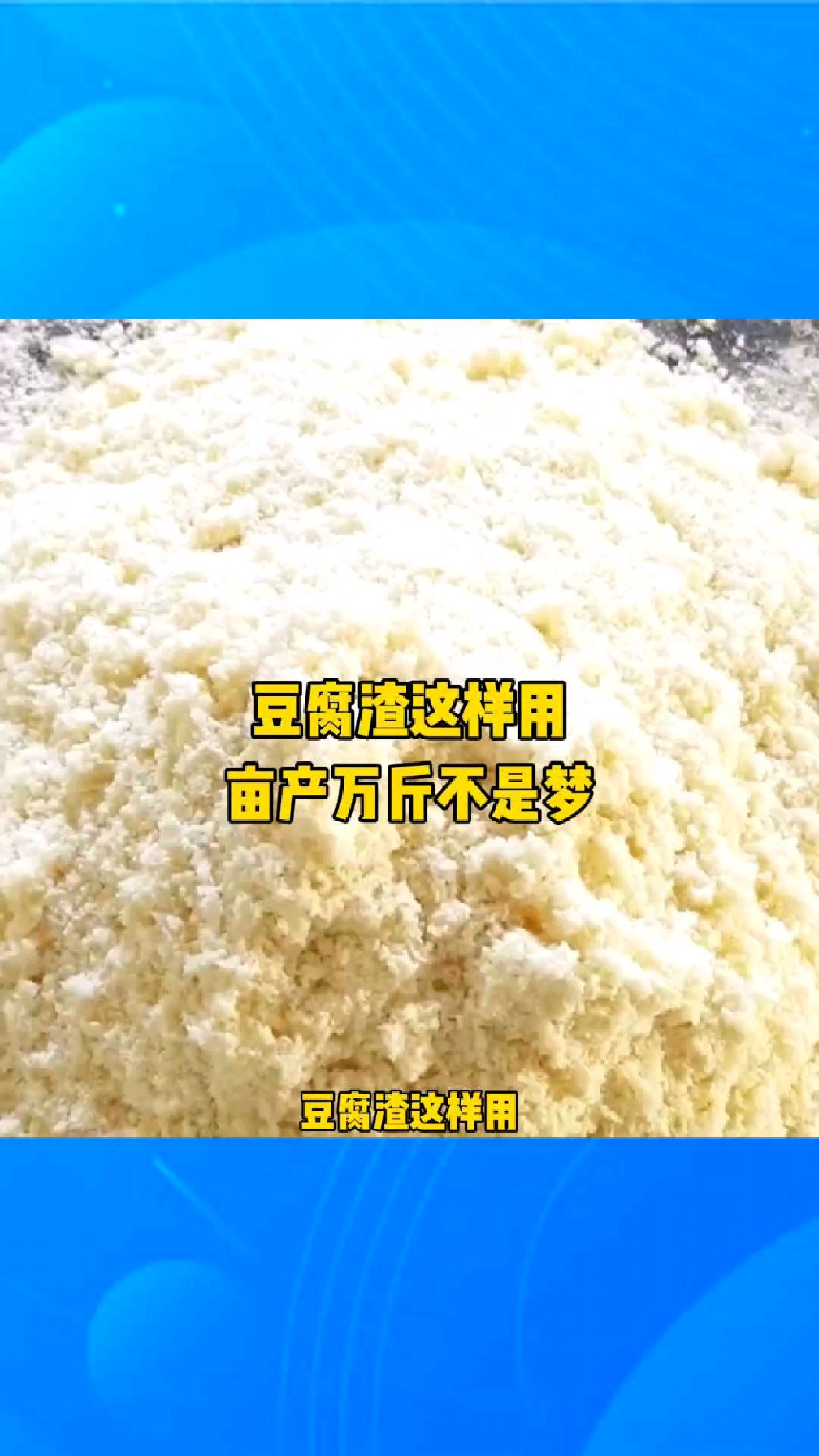 豆腐渣这样用,亩产万斤不是梦