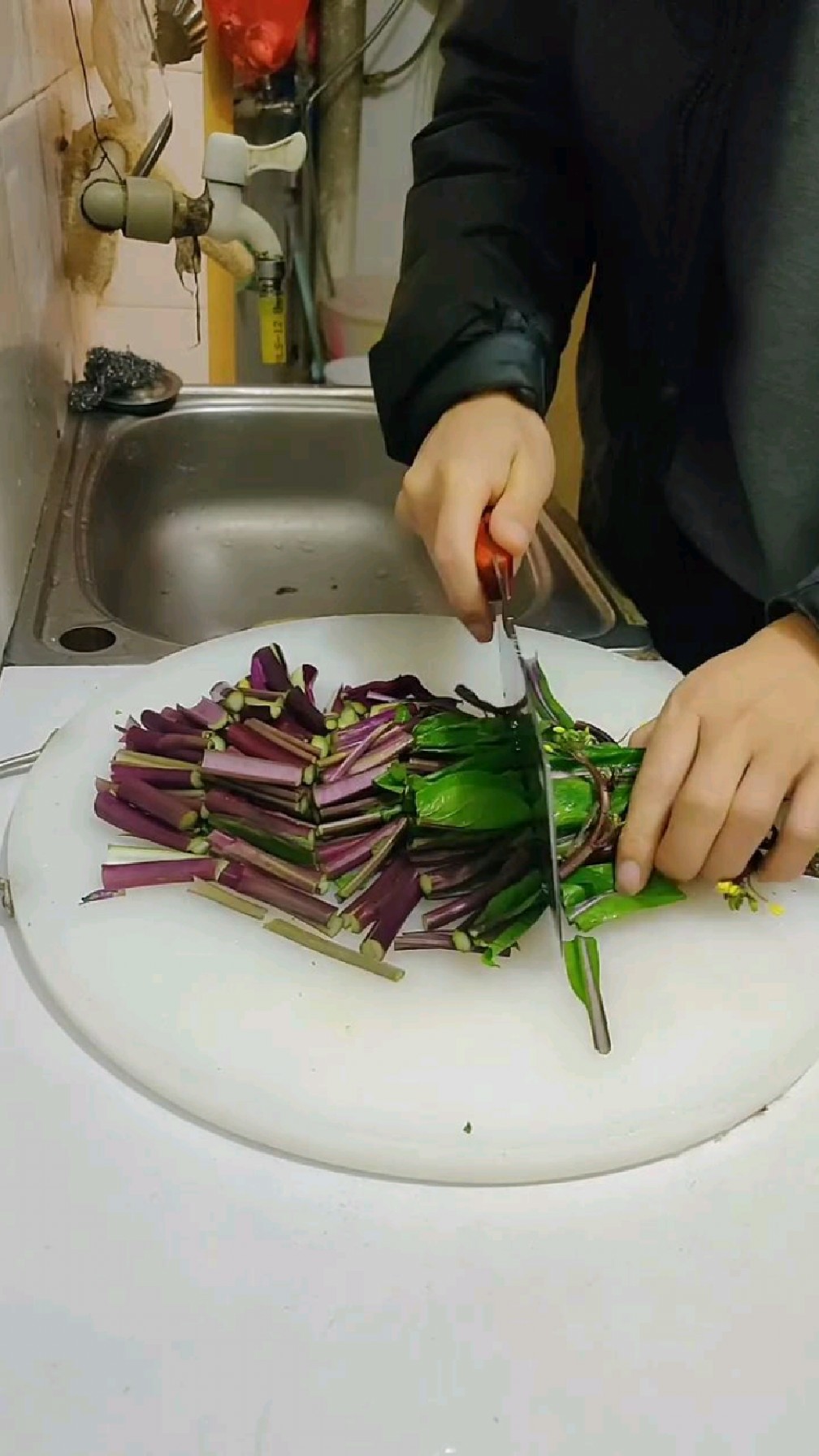 紫菜苔,特别有营养的一道蔬菜,你们吃过吗?