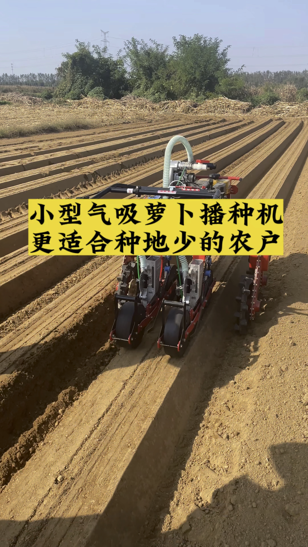 青岛大顺小型气吸萝卜白菜播种机更适合种地少的农户蔬菜播种机