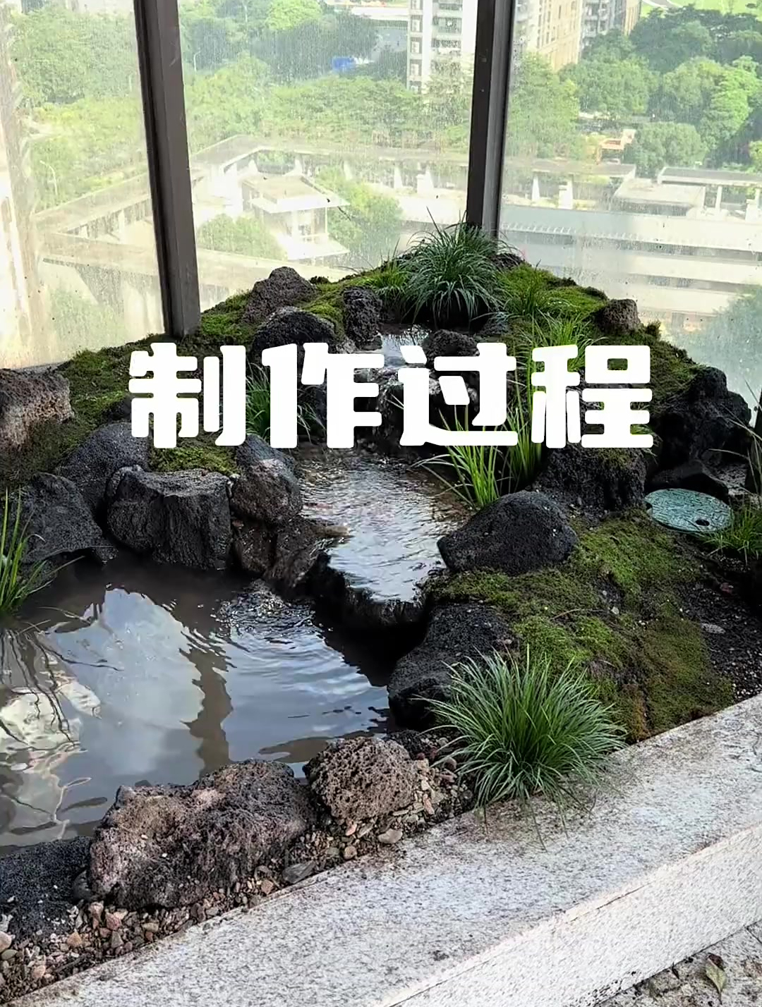 阳台鱼池原生造景制作过程