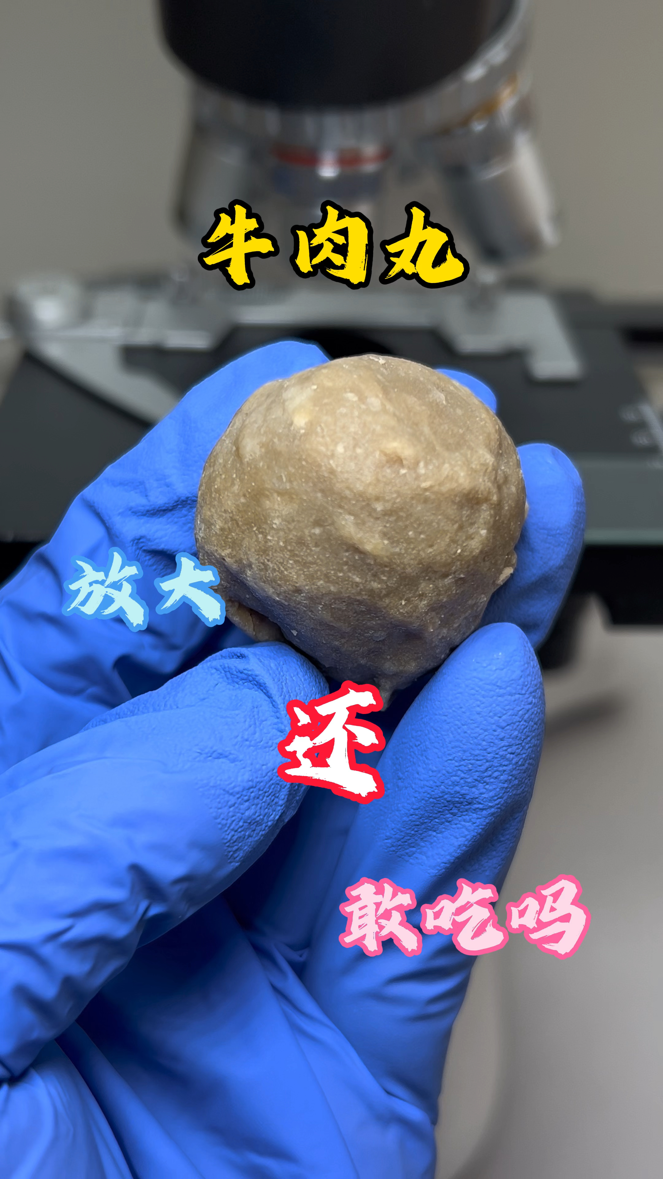 牛肉丸放大还敢吃吗#牛肉丸子#显微镜下的世界 #微观世界