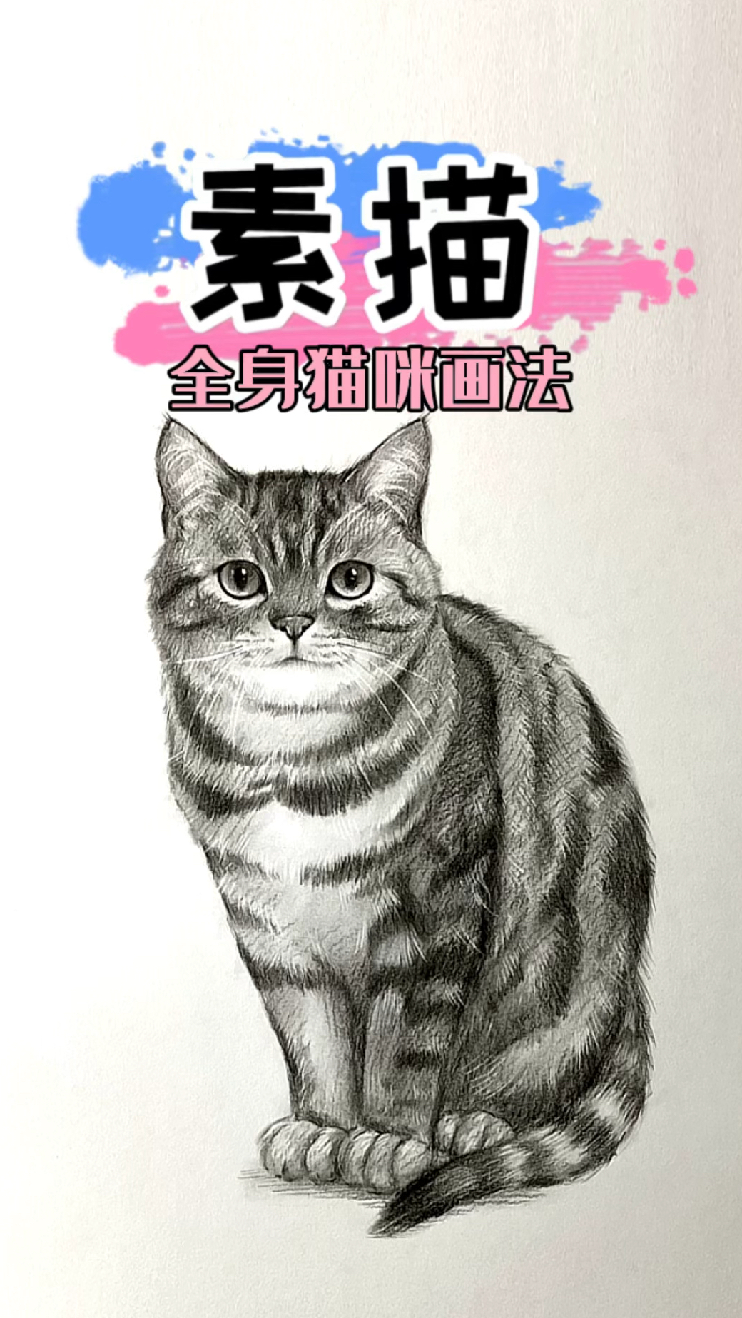 素描猫咪完整画法