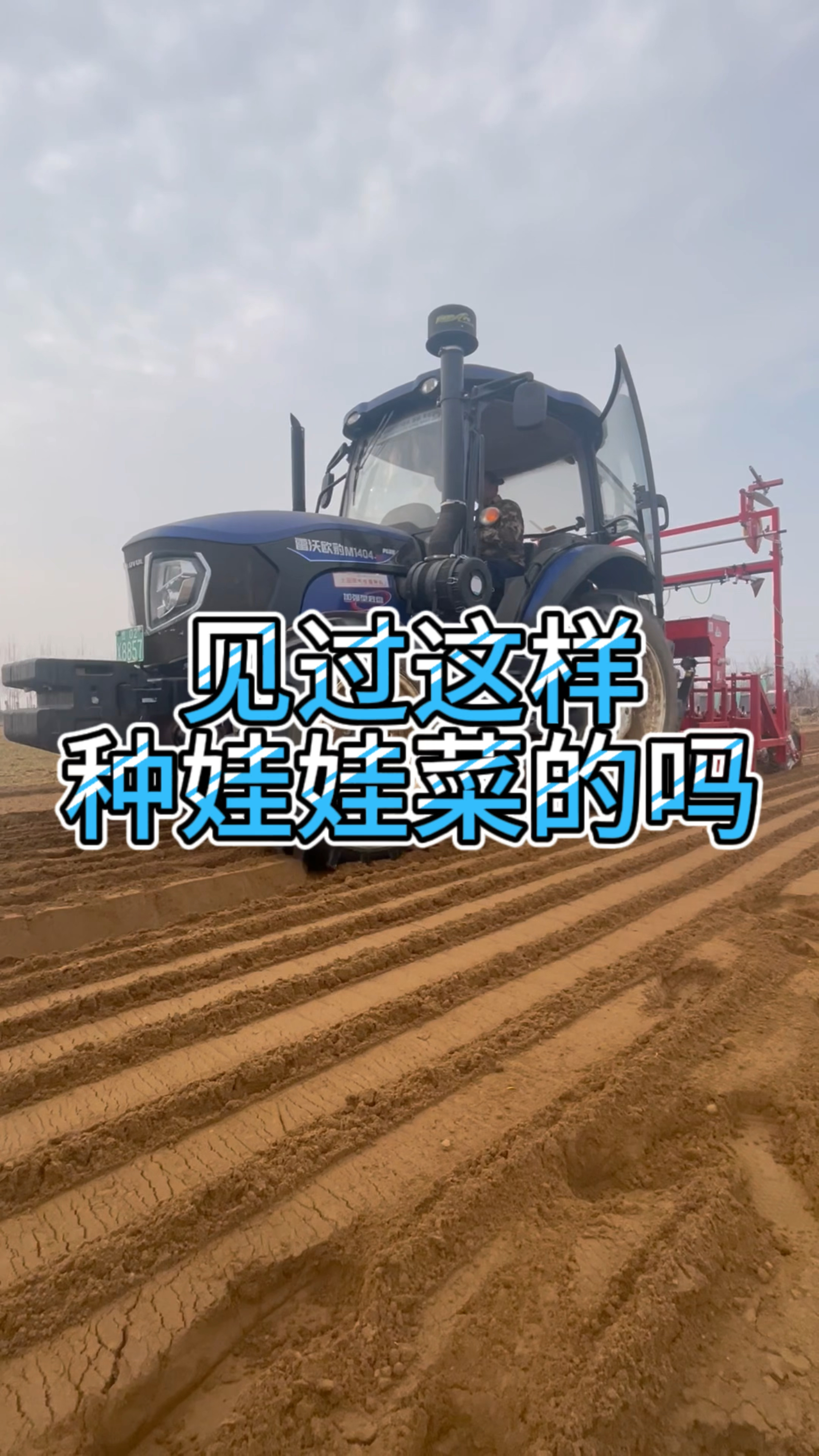 一垄八行气吸娃娃菜播种机一机顶50人干活 让你轻松回本 娃娃菜播种机 气吸蔬菜播种机