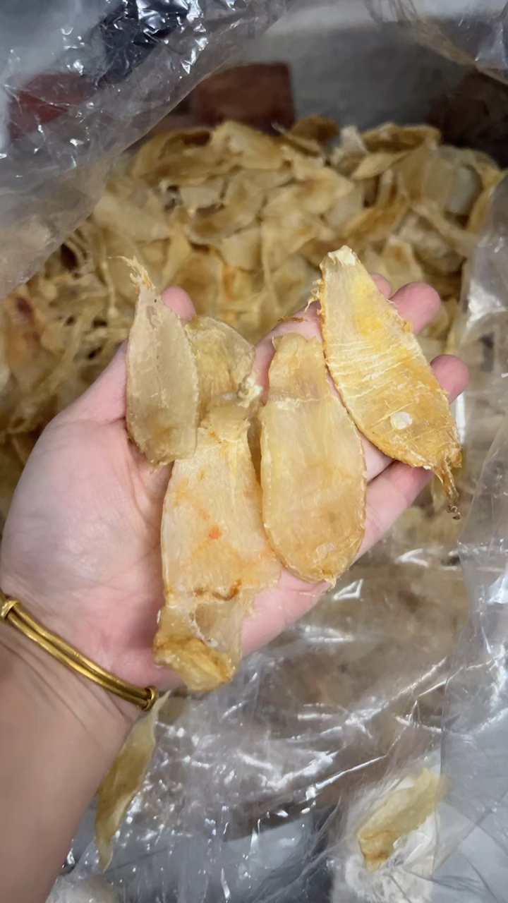 好清水的赤嘴鳘鱼胶,胖墩的,厚肉,要几百块钱,又想吃赤嘴的来错过就没有啦!