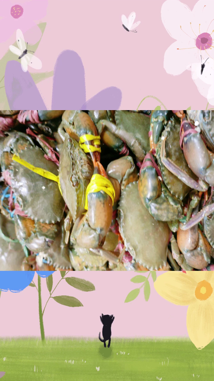 襄州肉蟹煲菜单价格 同城美食技术 美味馋嘴 好吃家常