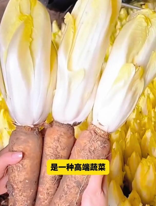 很多平头老百姓吃不起的菜,农村大伯种了2亩,一上市就被抢光