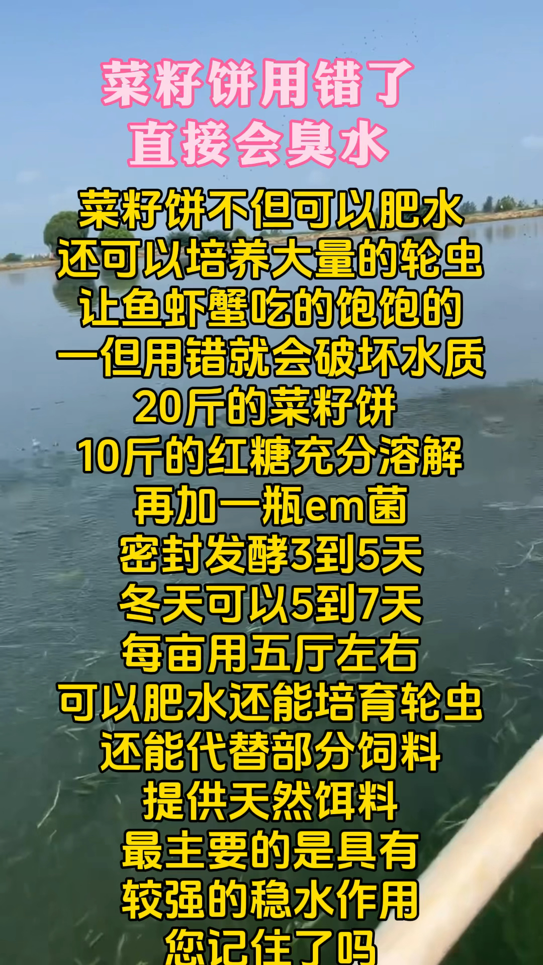 菜籽饼用错了直接会臭水