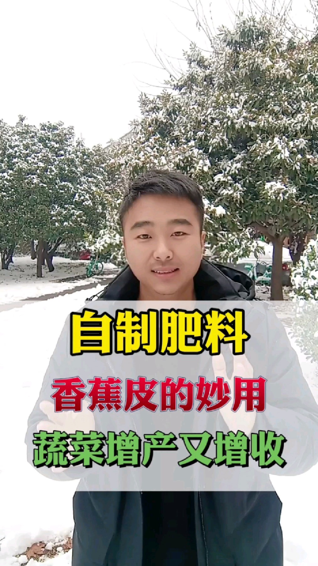 香蕉皮自制肥料,您学会了吗?