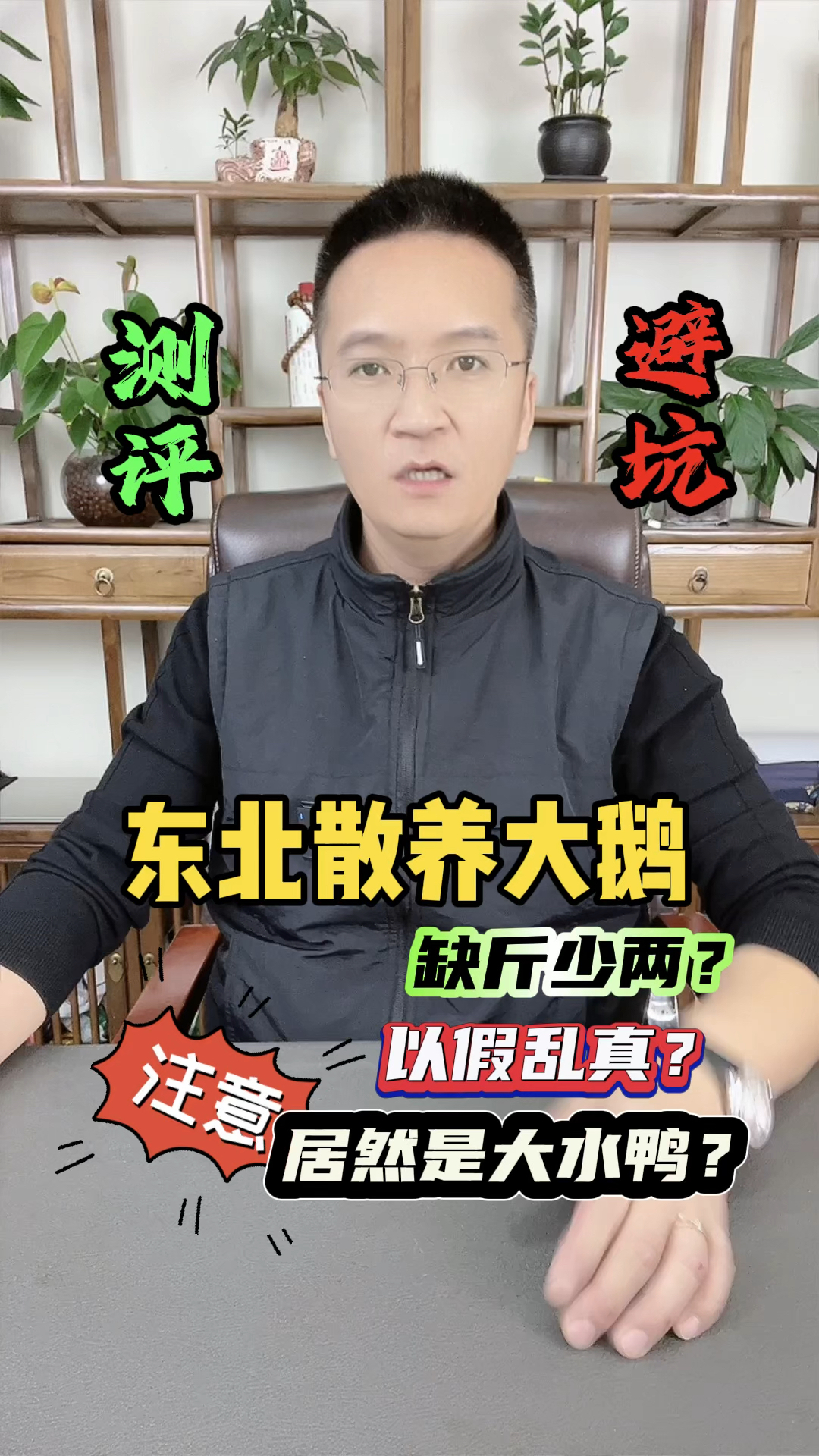 今天咱们一起看看,东北农村散养的#大鹅 究竟是什么样, #打假 #测评