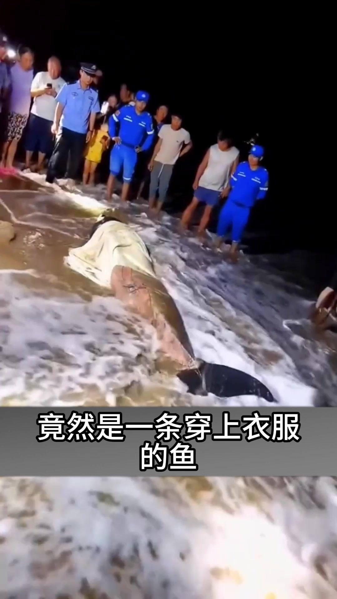 美人鱼现身,还是身穿泳装的神秘客