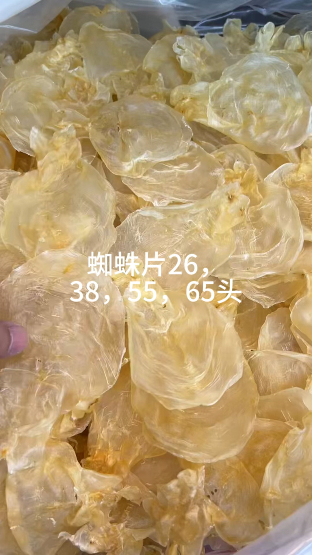 蜘蛛片石斑肚双牙金龙条阴阳公北海公筒鳝鱼肚本港赤嘴条开片小白花红鱼肚白肉新西兰