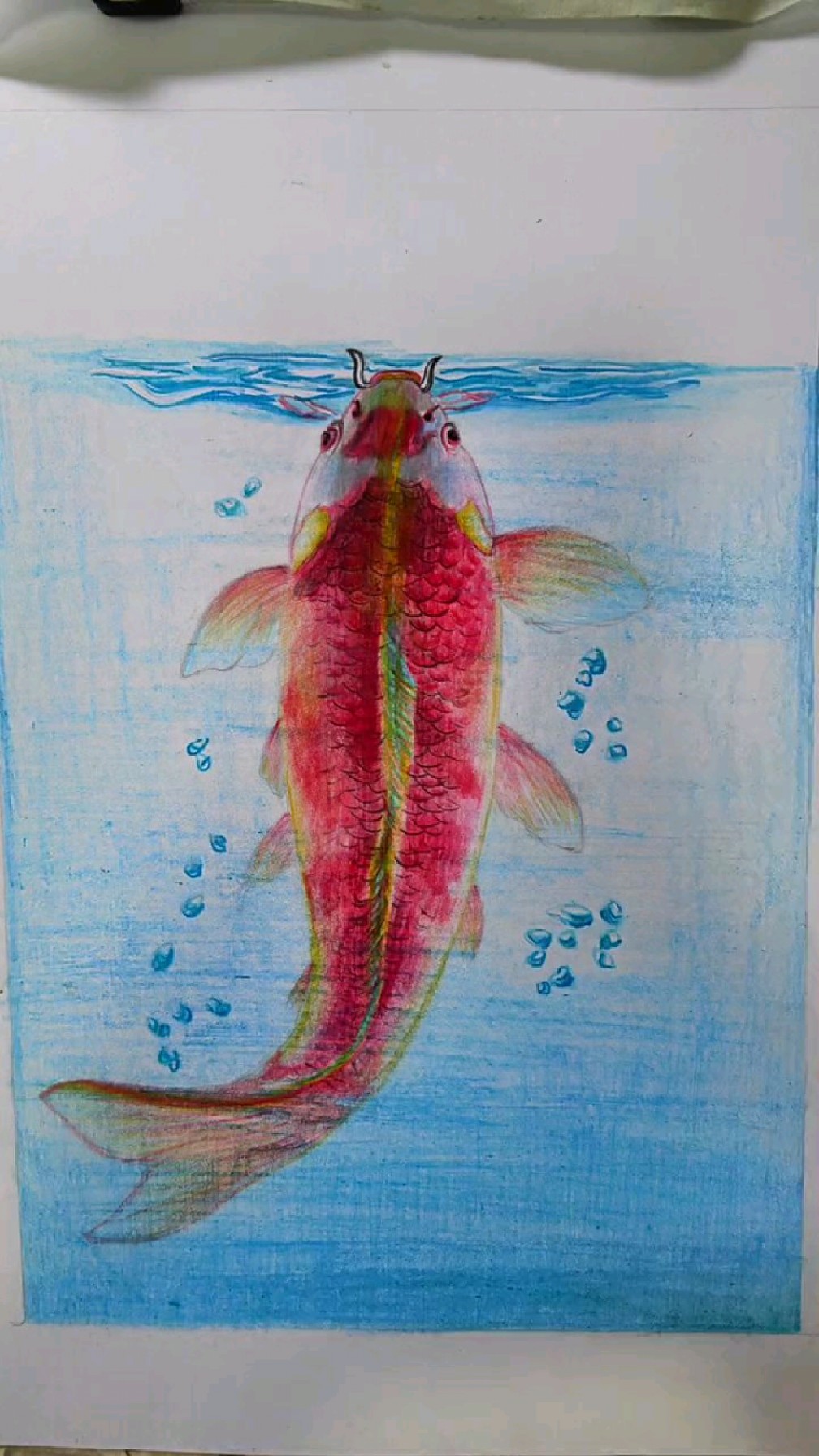 彩铅画:教大家画鱼