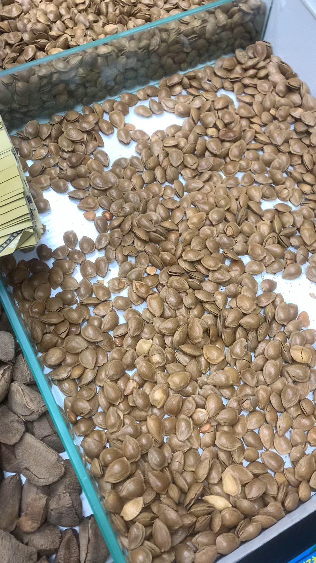 在新疆,怎能不逛逛干果店?各种干果品类繁多又美味。