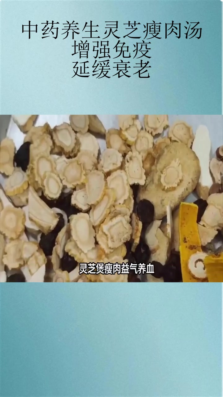 中药养生灵芝瘦肉汤:增强免疫,延缓衰老