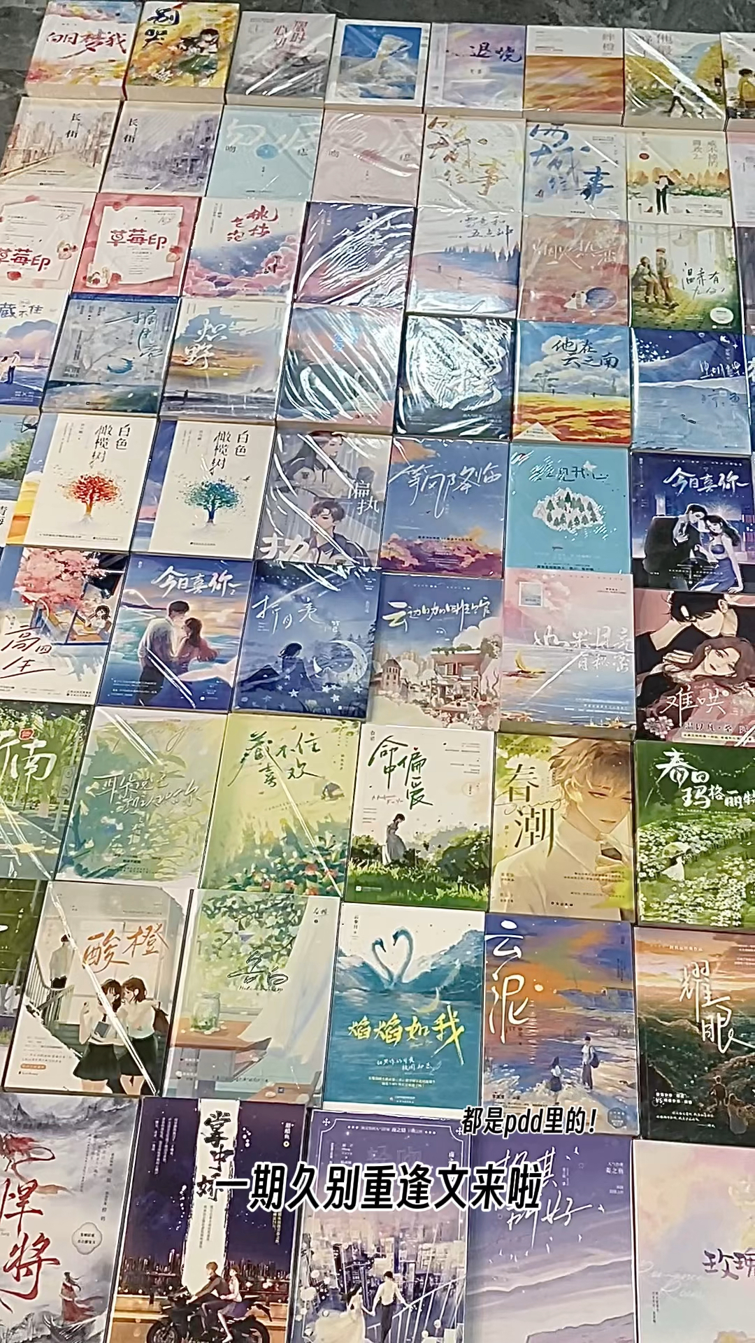 一期久别重逢文分享