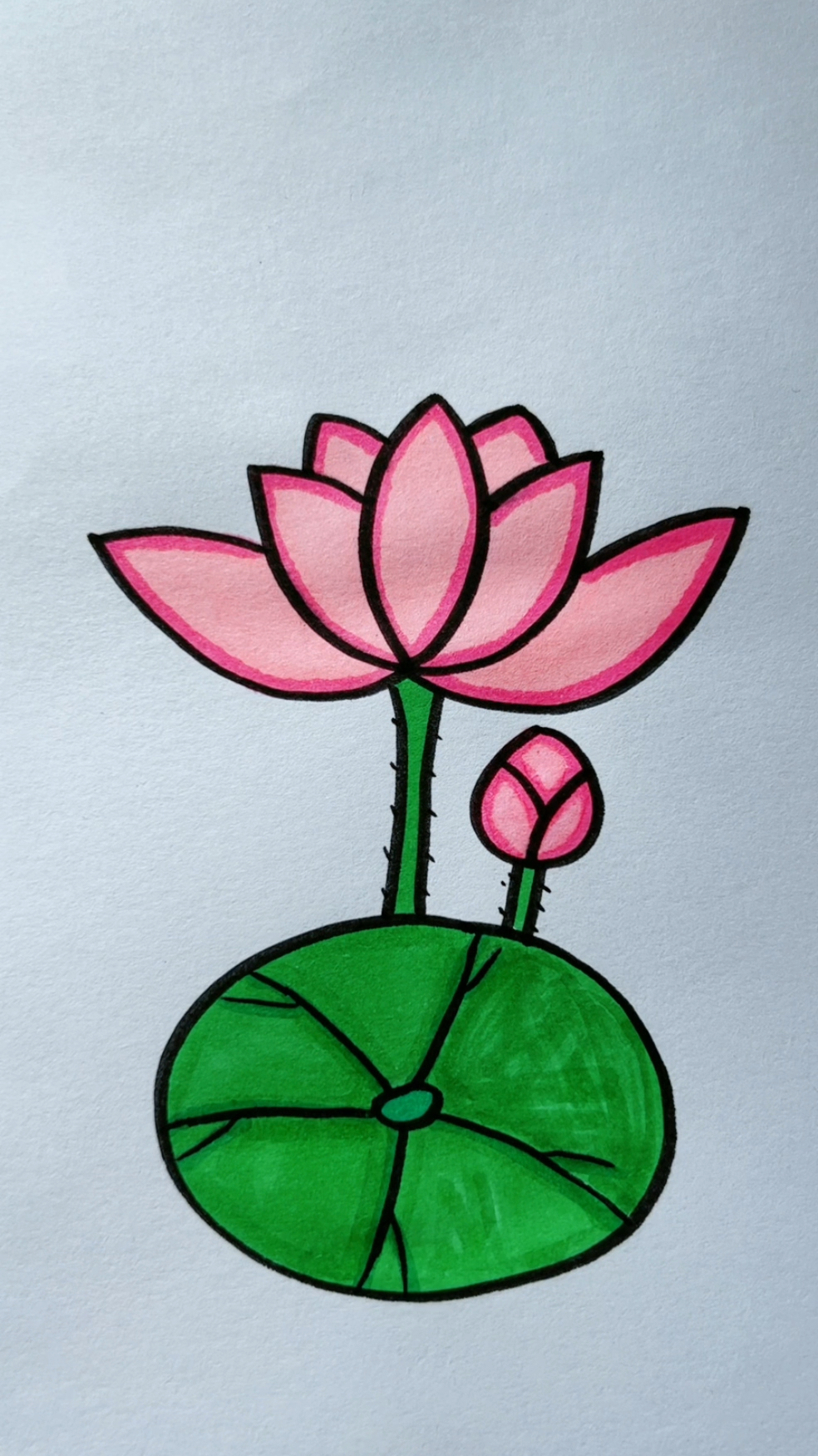 简笔画荷花!