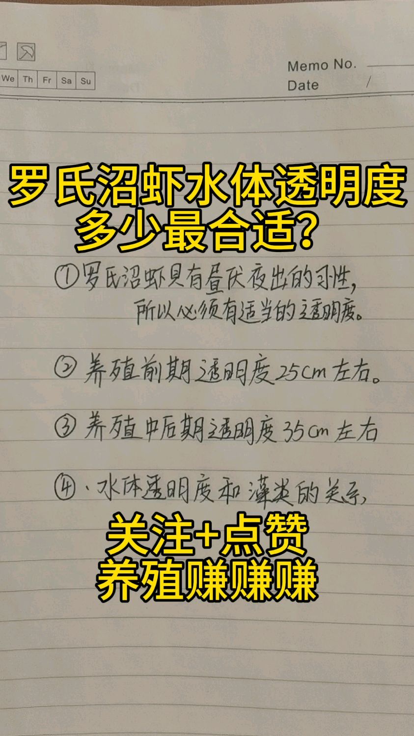 罗氏沼虾养殖最适合的水体透明度是多少?