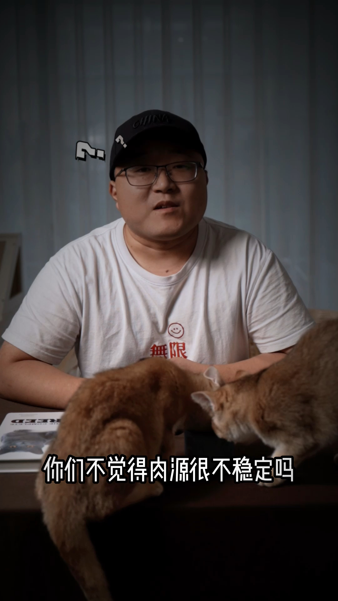 猫咪吃什么好?猫粮还是生骨肉?
