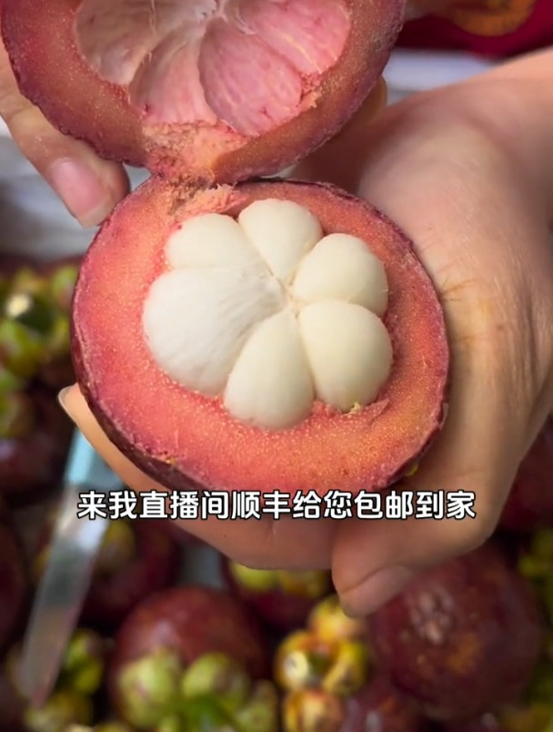 泰国老树麻竹,喜欢的快来!