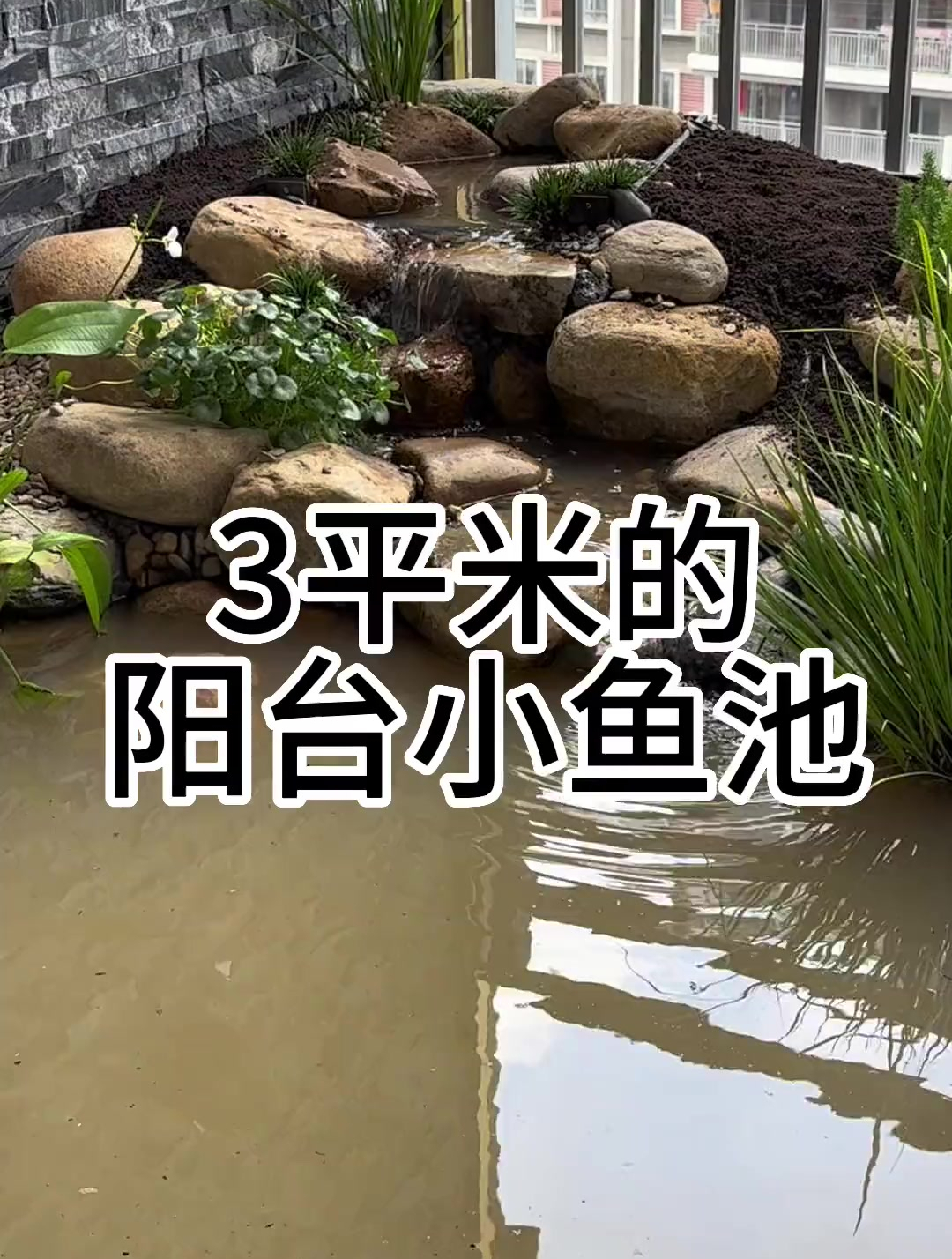 3平米的阳台小鱼池