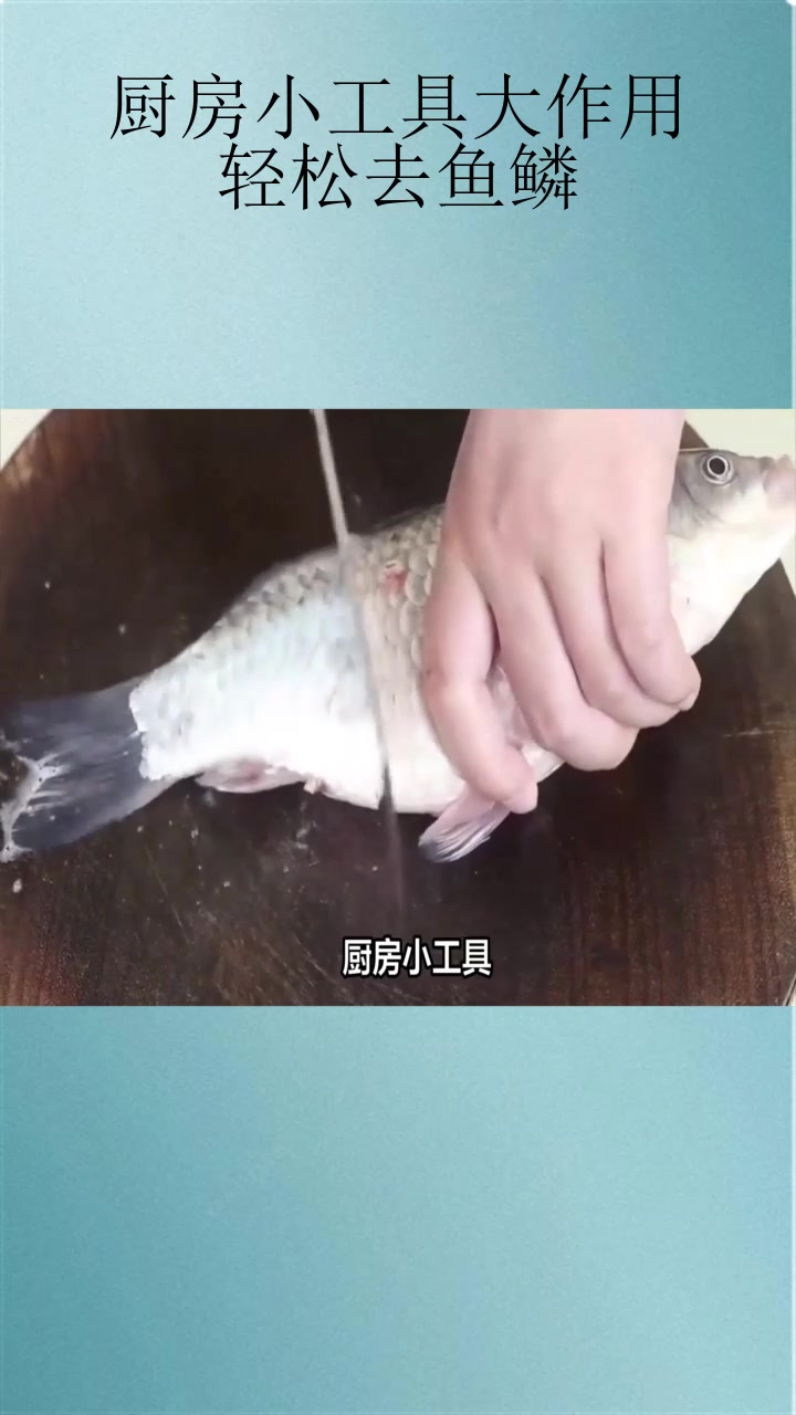 厨房小工具大作用:轻松去鱼鳞