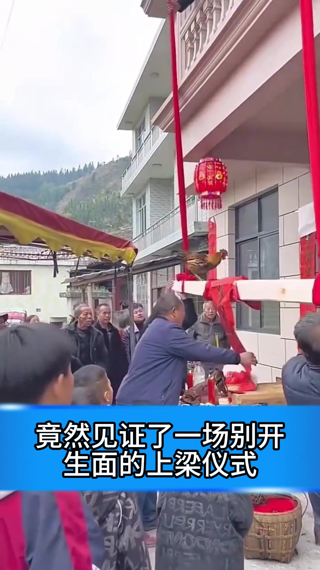 乡下上梁仪式,大公鸡上梁寓意解读