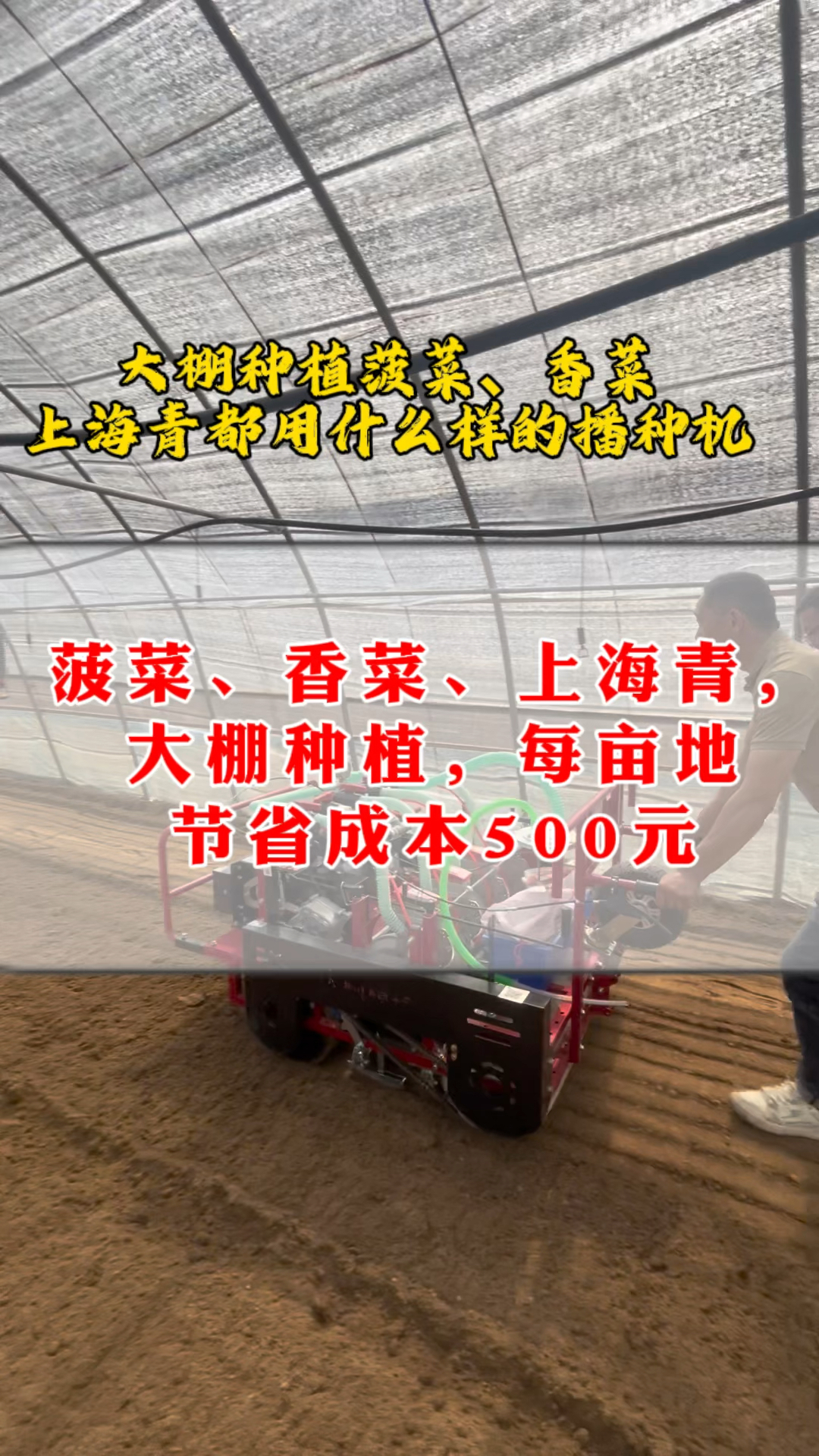 上海青播种机,香菜播种机,菠菜播种机,一台机播种机一亩地节省播种成本最少500元