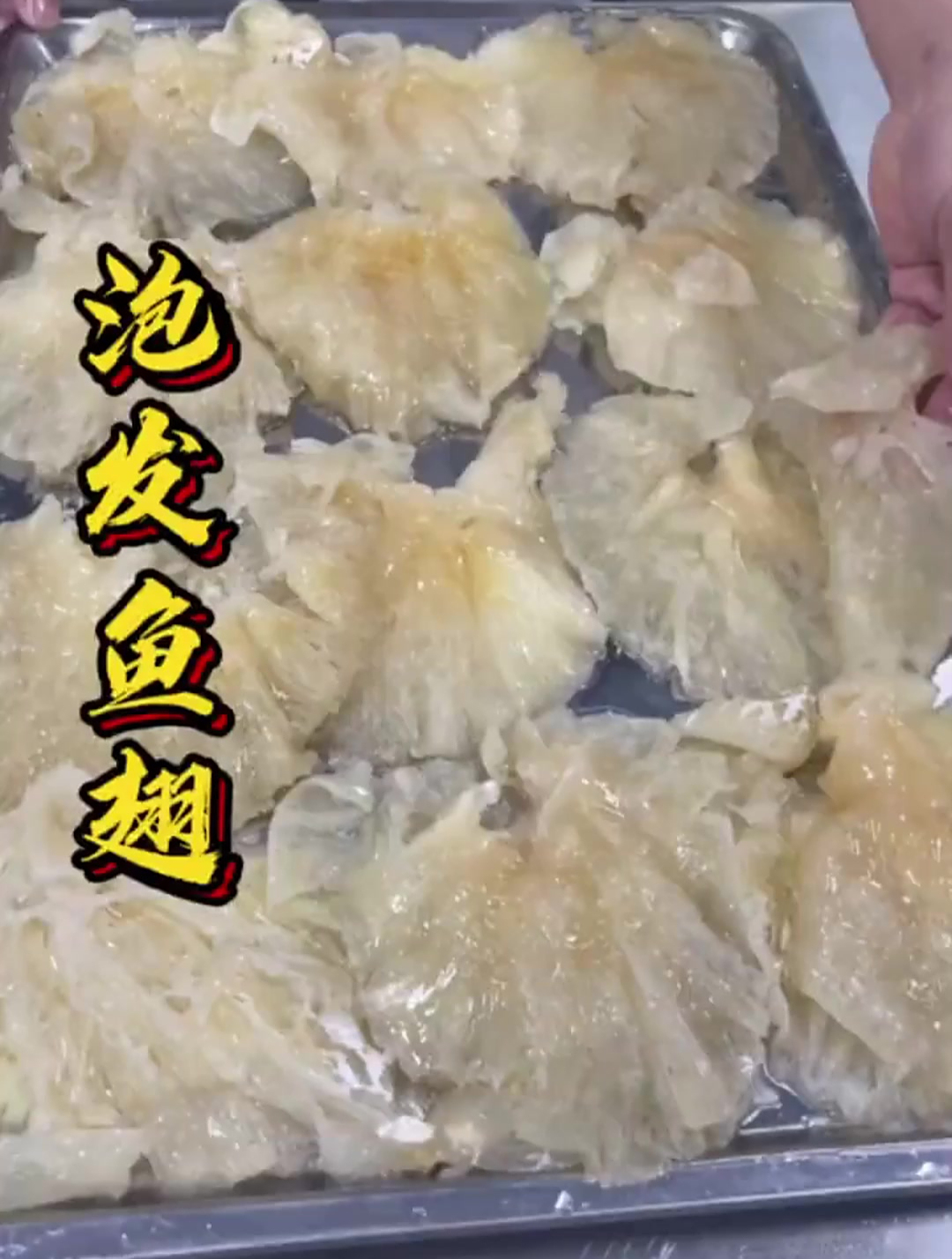 大头良拿鱼翅去炸,泡发鱼翅和泡发腐竹一样?