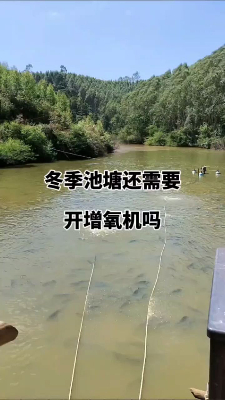 冬季池塘还需要开增氧机吗?