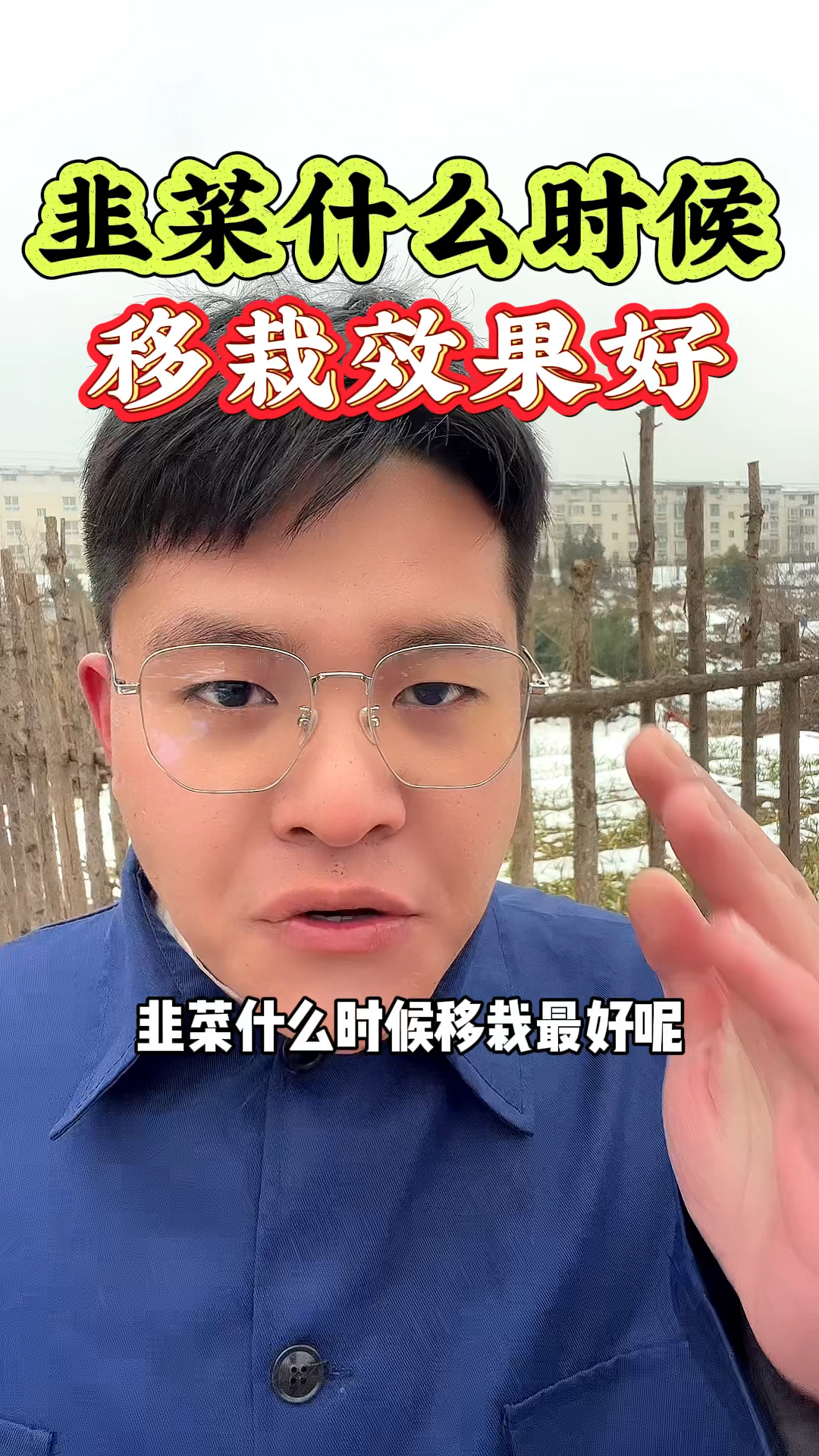 韭菜什么时候移栽好呢