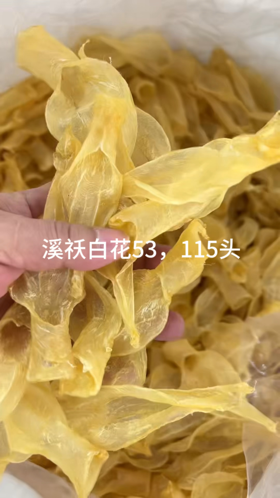 红鸡公,蜘蛛片,黄花胶,佐罗,大口公,尖尾公,蝴蝶胶,溪祅白花,叶子胶,厚肉赤肚